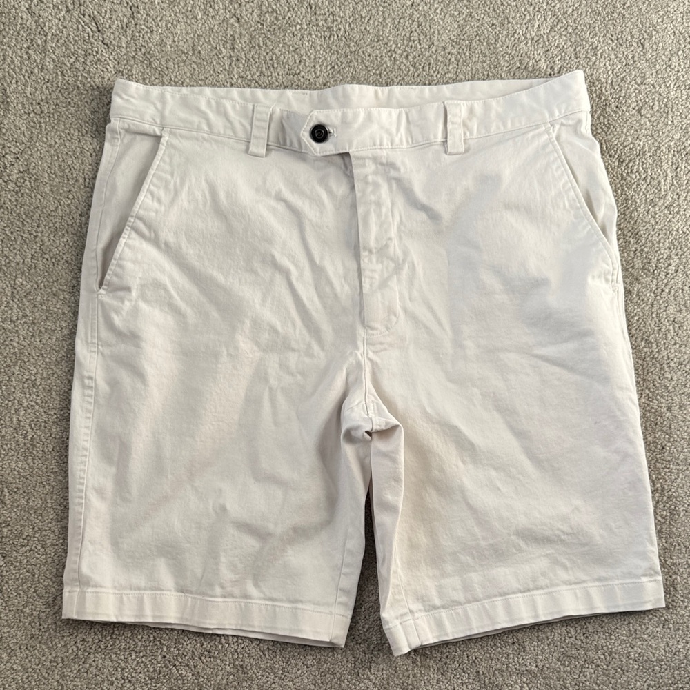 Tasso Elba shorts